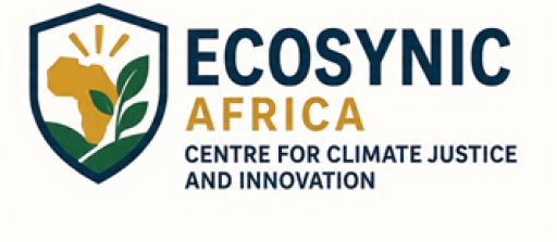 Ecosynic Africa