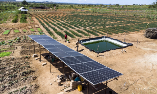 renewable-energy
